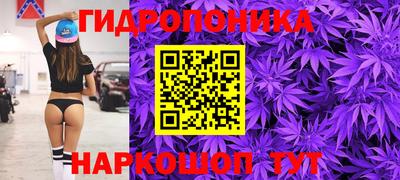 СК Пенза