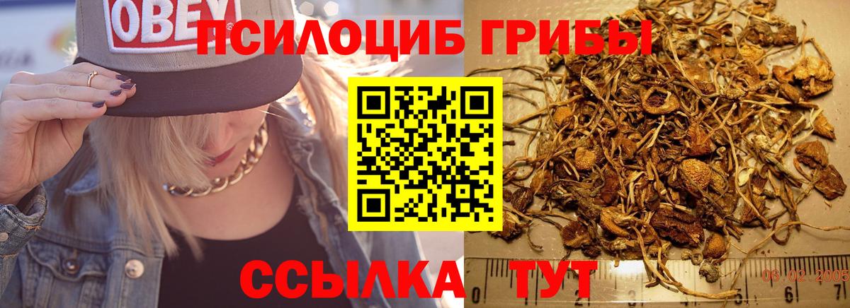 Псилоцибиновые грибы мухоморы Сочи
